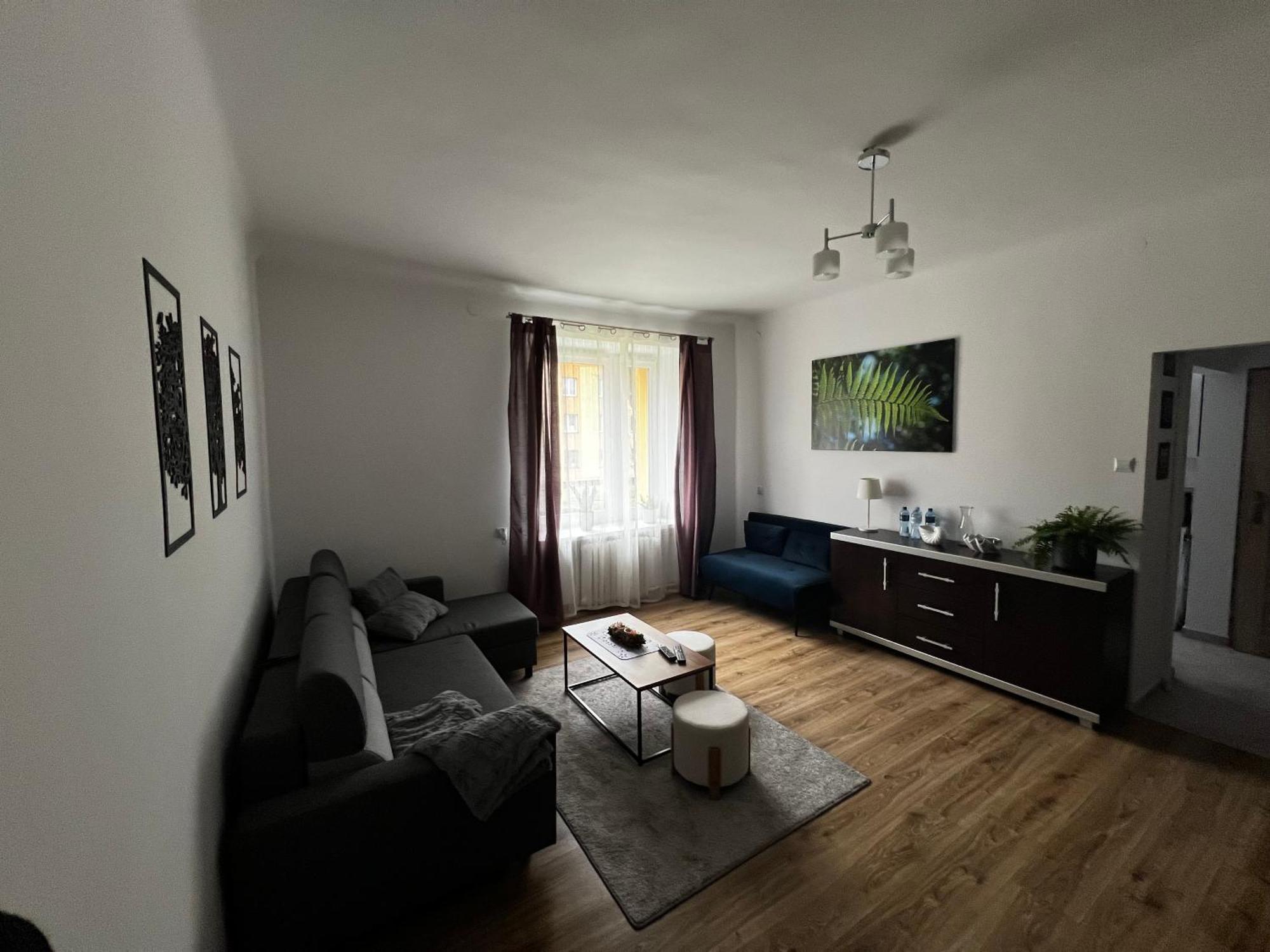 Apartament Paprotka Скаржиско-Камєнна Екстер'єр фото